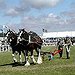 BucketList + See Royal Cornwall Show = ✓
