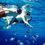 BucketList + Go Snorkeling With Friends = ✓