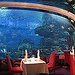 BucketList + Go To An Aquarium! = ✓