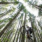 BucketList + Go Mountain Biking In Canada = ✓