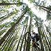 BucketList + Go Mountain Biking In Canada = ✓