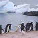 BucketList + Visit The Penguins In The ... = ✓