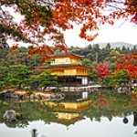 BucketList + Go To Japan = ✓