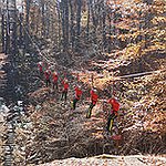 BucketList + Zip Line = ✓