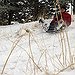 BucketList + Sled Down A Roof In ... = ✓