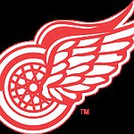 BucketList + See Detroit Red Wings Live = ✓