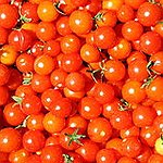 BucketList + Participate In The La Tomatina = ✓