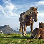 BucketList + Ride A Horse = ✓