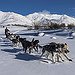 BucketList + Go On A Dogsled Expedition = ✓