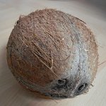 BucketList + Drink From A Coconut = ✓