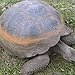 BucketList + Go To The Galapagos Islands = ✓