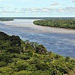 BucketList + Fish In The Amazon River = ✓