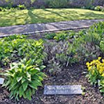 BucketList + Plant A Garden = ✓