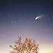 BucketList + Witness A Miracle = ✓