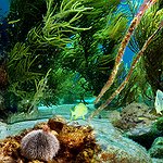 BucketList + Explore Underwater = ✓