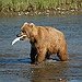BucketList + Go Bear Hunting In Alaska = ✓