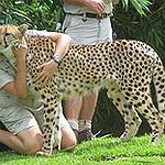 BucketList + Be A Zoo Keeper For ... = ✓