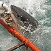BucketList + Shark Cage Diving = ✓