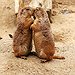 BucketList + Kiss In The Rain = ✓