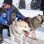 BucketList + Have A Husky Sled Ride ... = ✓