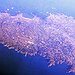 BucketList + Guernsey, England = ✓