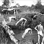 BucketList + Go Skinny Dipping = ✓