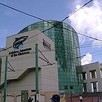 BucketList + Visit The Atlanta Aquarium = ✓