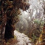 BucketList + Complete Inca Trail = ✓