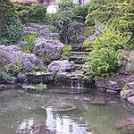 BucketList + Build A Pond For My ... = ✓