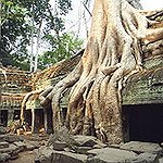 BucketList + Visit Ta Prohm = ✓
