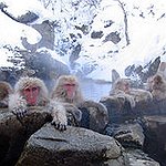 BucketList + Relax In A Hot Spring ... = ✓