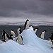 BucketList + Continent 6 - Antarctica = ✓