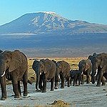 BucketList + Climb Kilimanjaro = ✓
