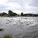 BucketList + Do An Open Water Swim = ✓