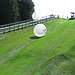 BucketList + Go Zorbing = ✓