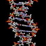 BucketList + Take A Dna Test To ... = ✓