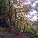 BucketList + Go Camping In Woods With ... = ✓