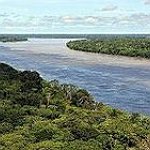 BucketList + See Amazon Rainforest = ✓