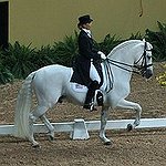 BucketList + Own A Horse = ✓