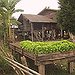 BucketList + Learn How To Garden = ✓