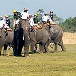 BucketList + Play Elephant Polo = ✓