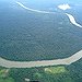 BucketList + Visit The Amazon Rainforest And ... = ✓