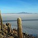 BucketList + Make It To Saltflats = ✓