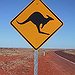 BucketList + See A Kangaroo In Australia = ✓