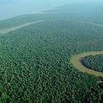 BucketList + Stay In Amazon Jungle = ✓