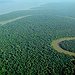 BucketList + Stay In Amazon Jungle = ✓
