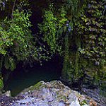 BucketList + Waitomo Glowworm Caves, North Island, ... = ✓
