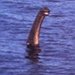 BucketList + Visit Loch Ness And Try ... = ✓