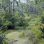 BucketList + Air Boat Across A Swamp = ✓