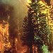 BucketList + Evacuate From A Wild Fire ... = ✓